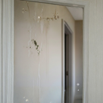 penyebab dinding berjamur